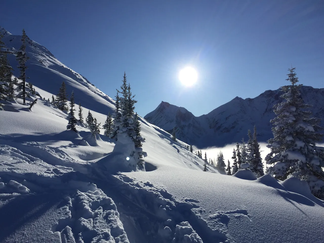 A snowy treeline vista 