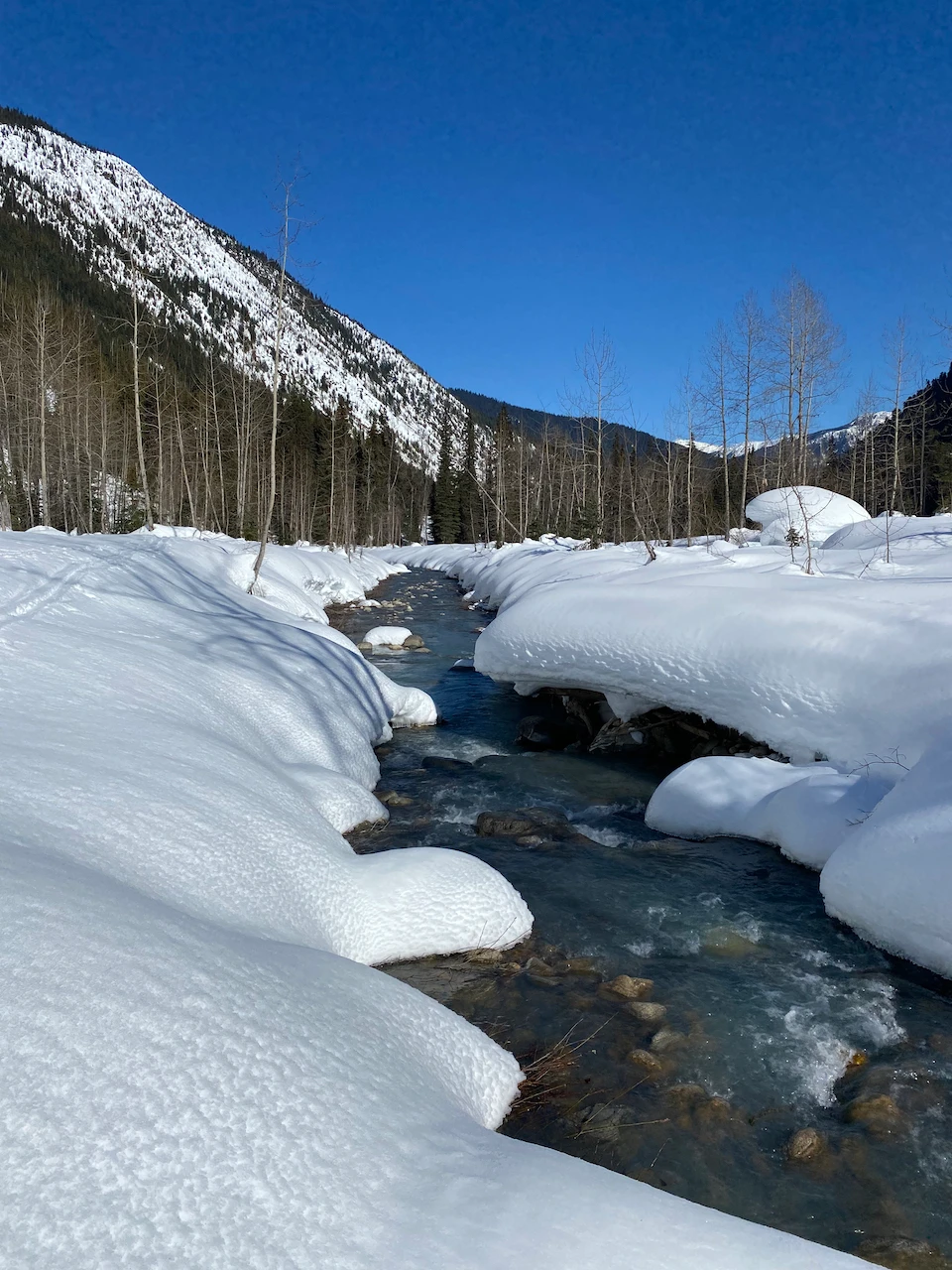 A creek in the spring time with snowy banks
