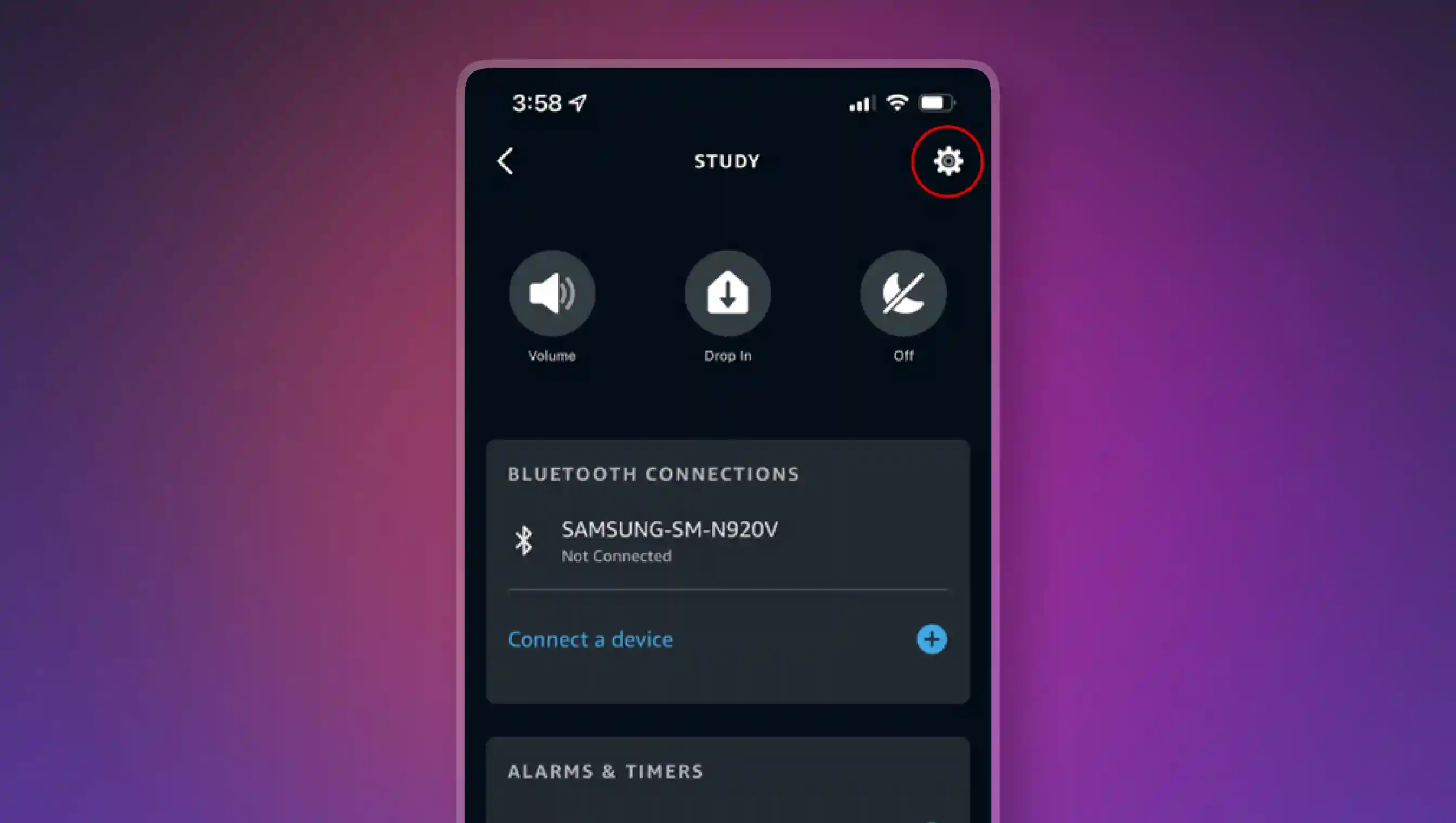 A circle around the Settings icon in a particular Echo device screenshot
