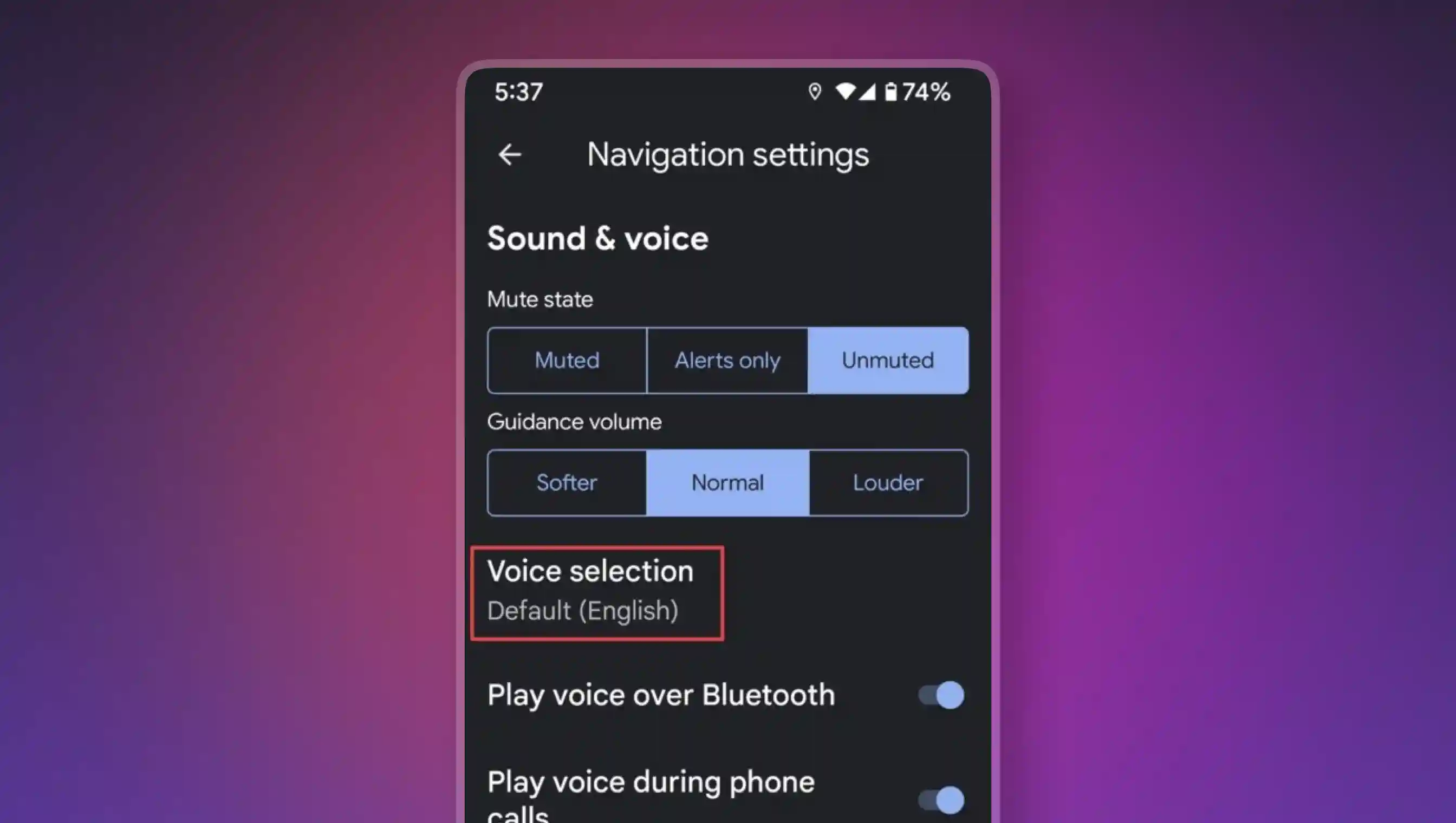 Under Navigation Settings-> Voice default is English