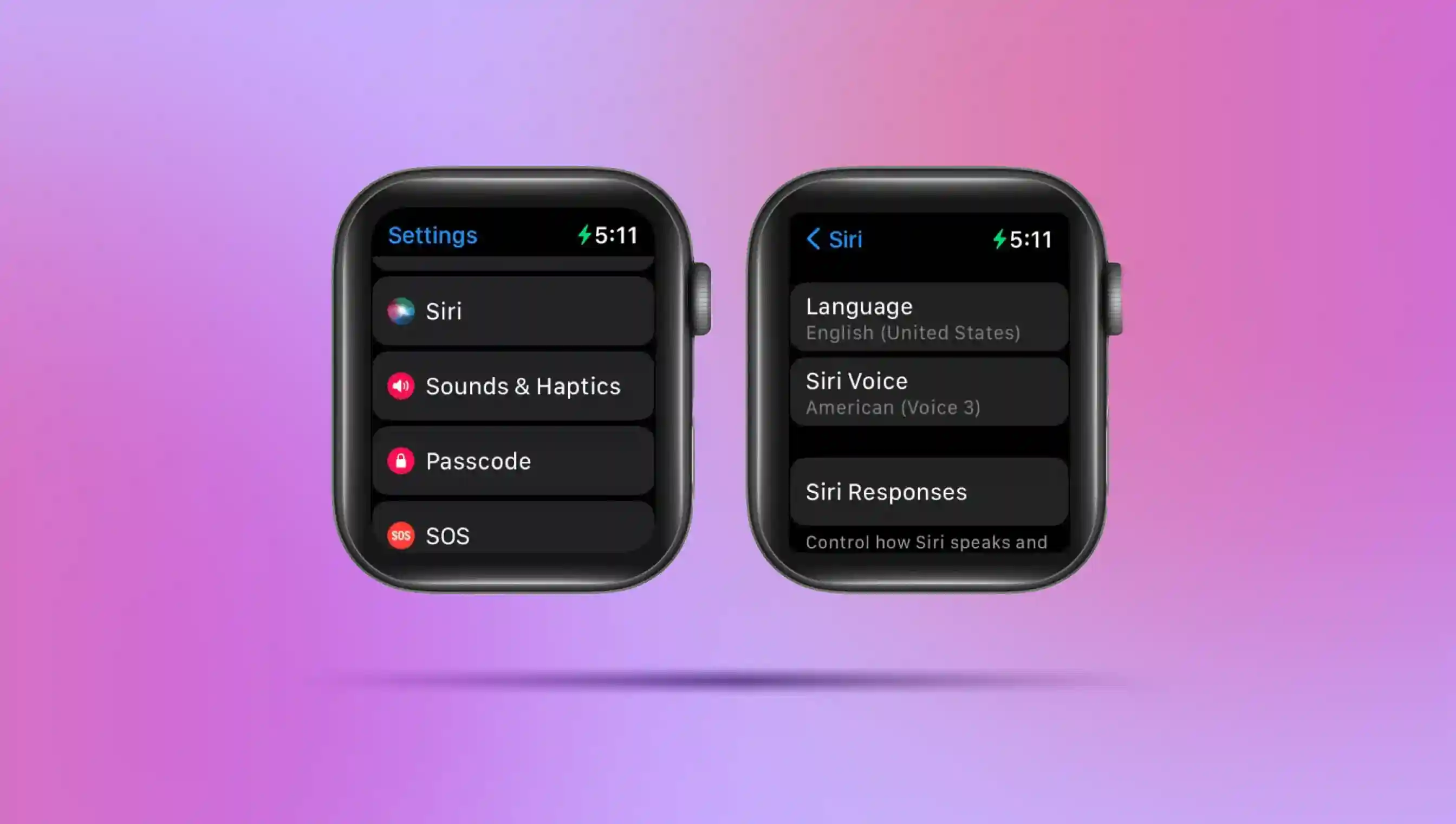 Navigation settings of updating the Siri voice on Apple watch