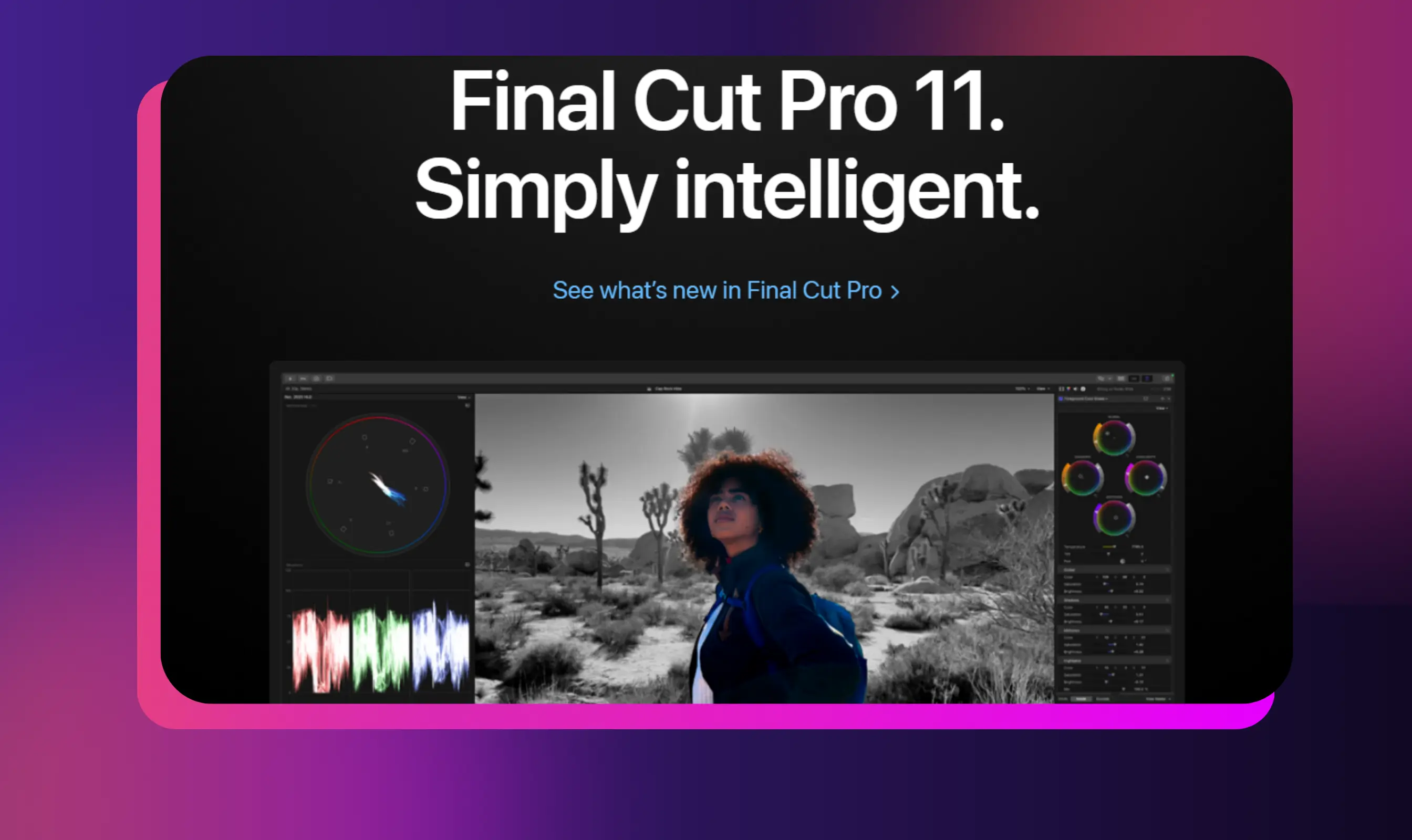 Final Cut Pro 11