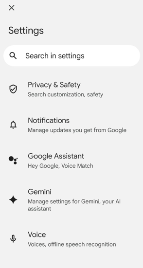 Open Google Settings
