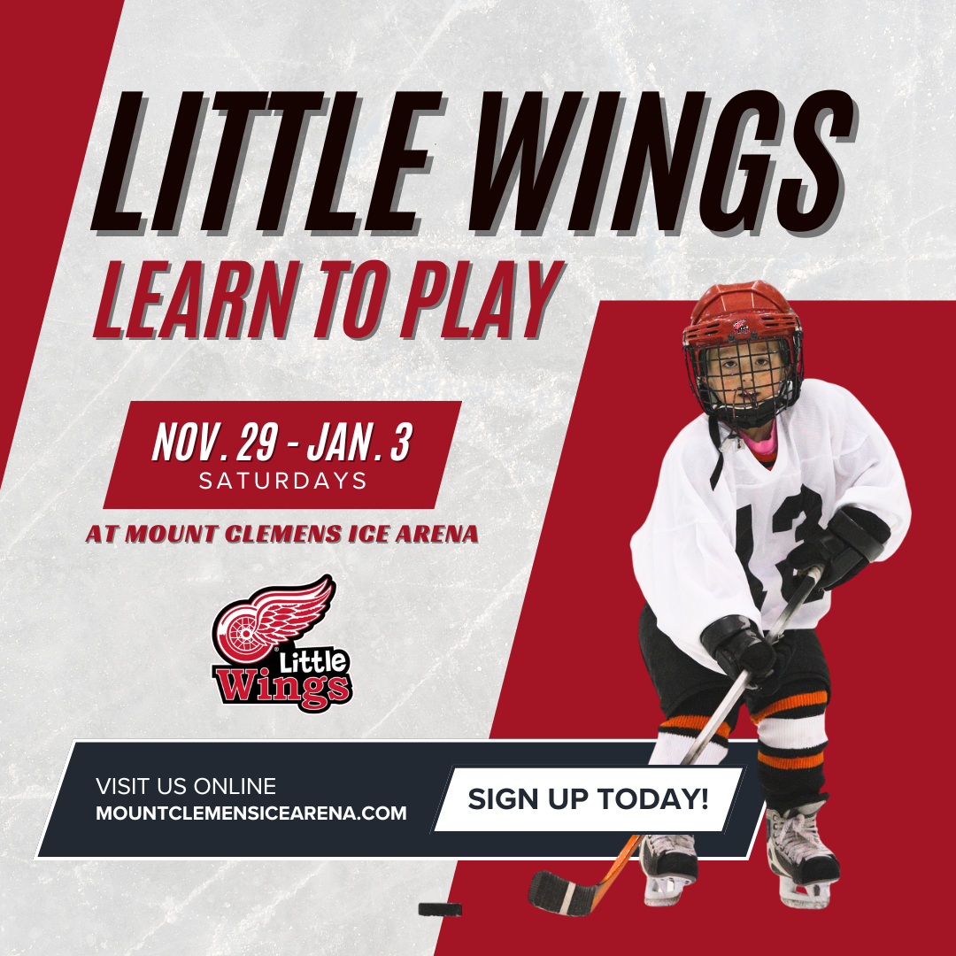 Little Wings