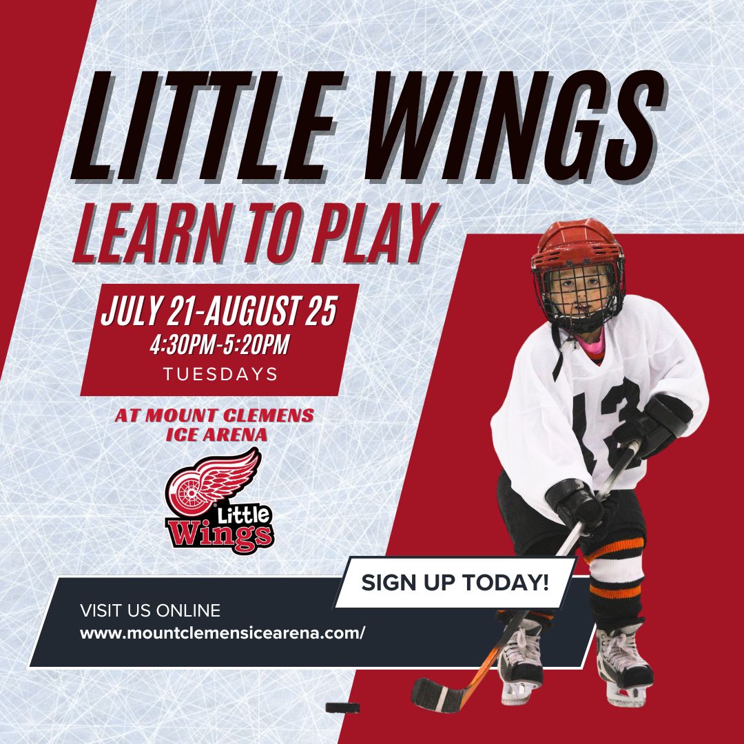 Little Wings