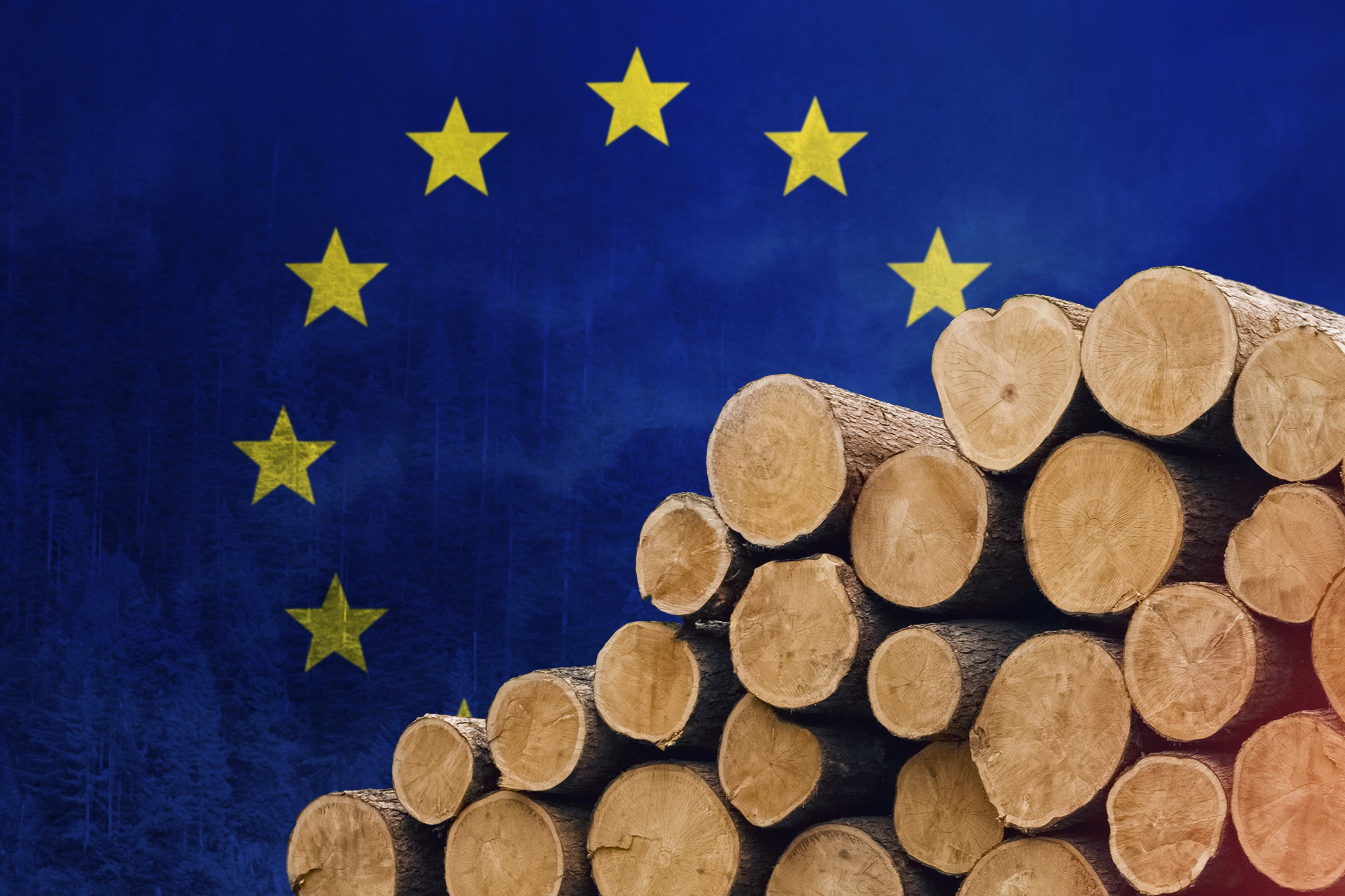EU Defers Deforestation Regulation, Giving Companies the Time to Meet Compliance Standards