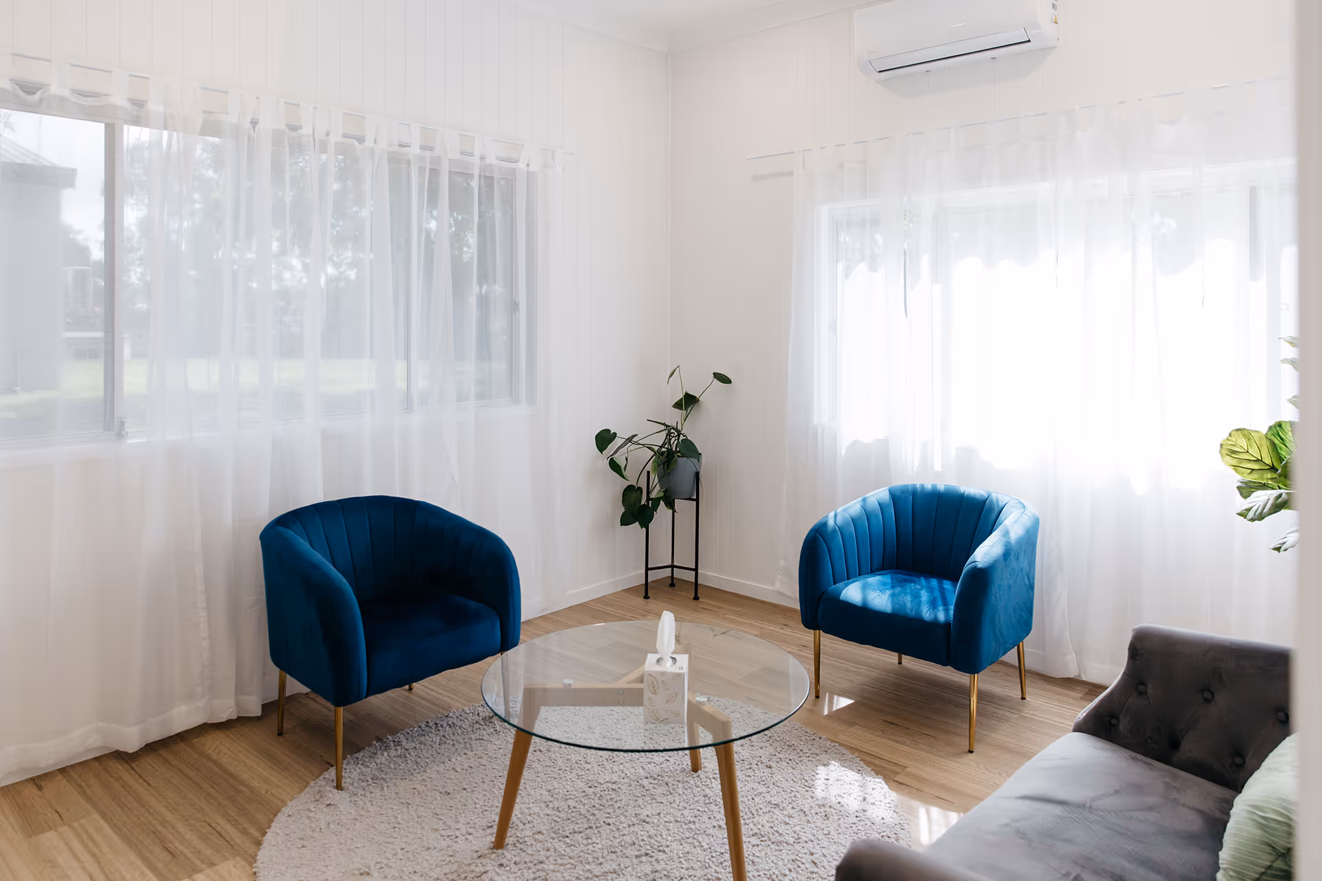 Bright living room with two blue armchairs, a glass coffee table on a white rug, a gray sofa, and leafy plants near large windows with sheer white curtains.