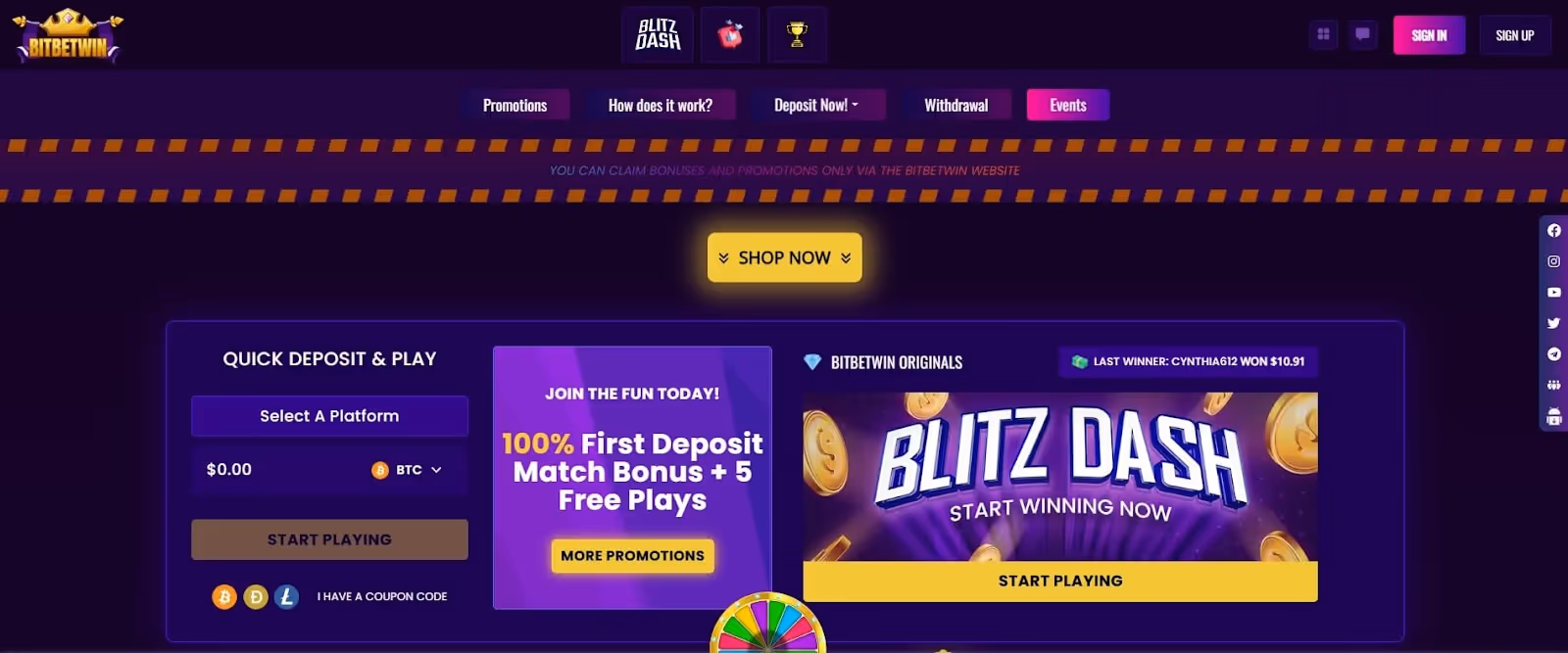 BitBetWin Website