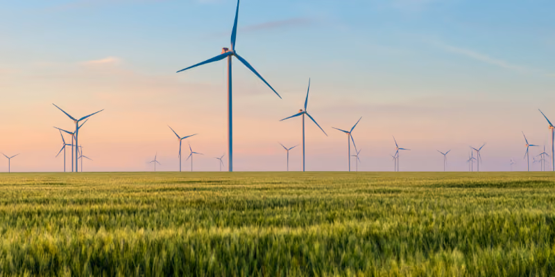 des éoliennes dans un champ