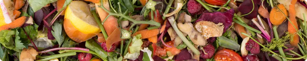 déchets organiques