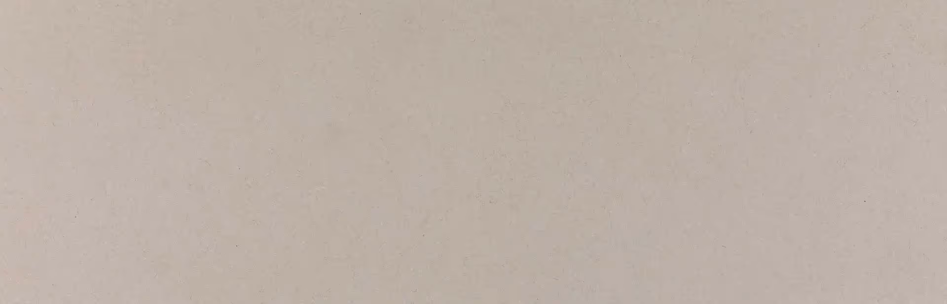 Caesarstone 1002 Wyndigo