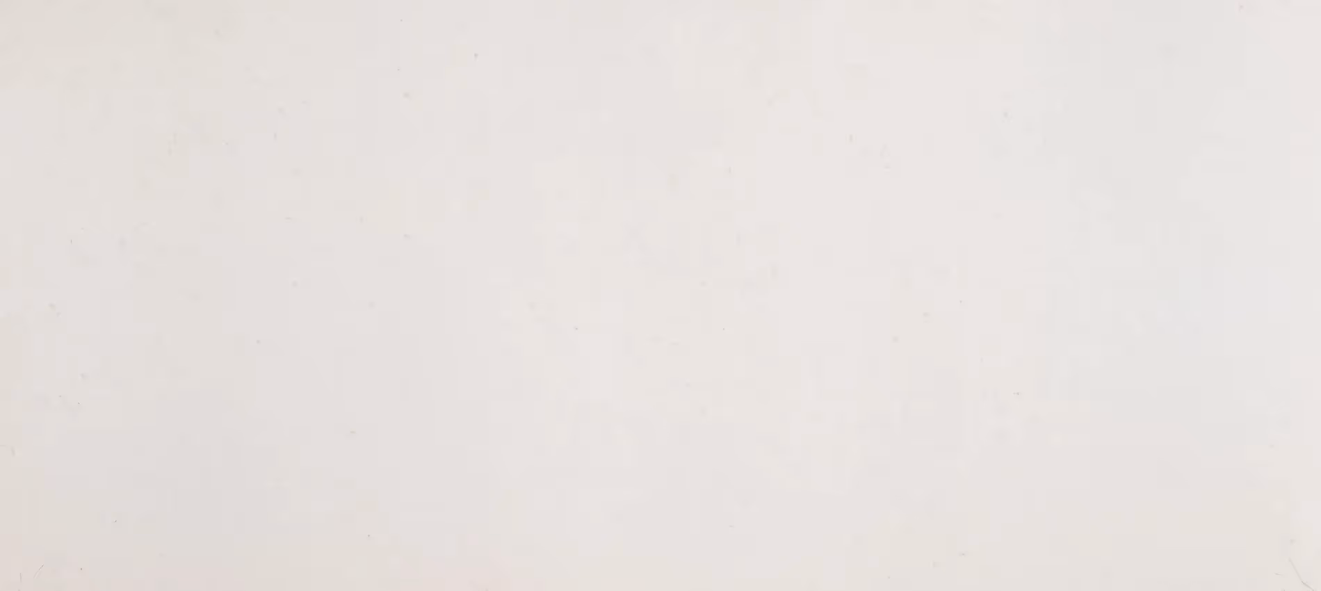 Quartzforms Michelangelo