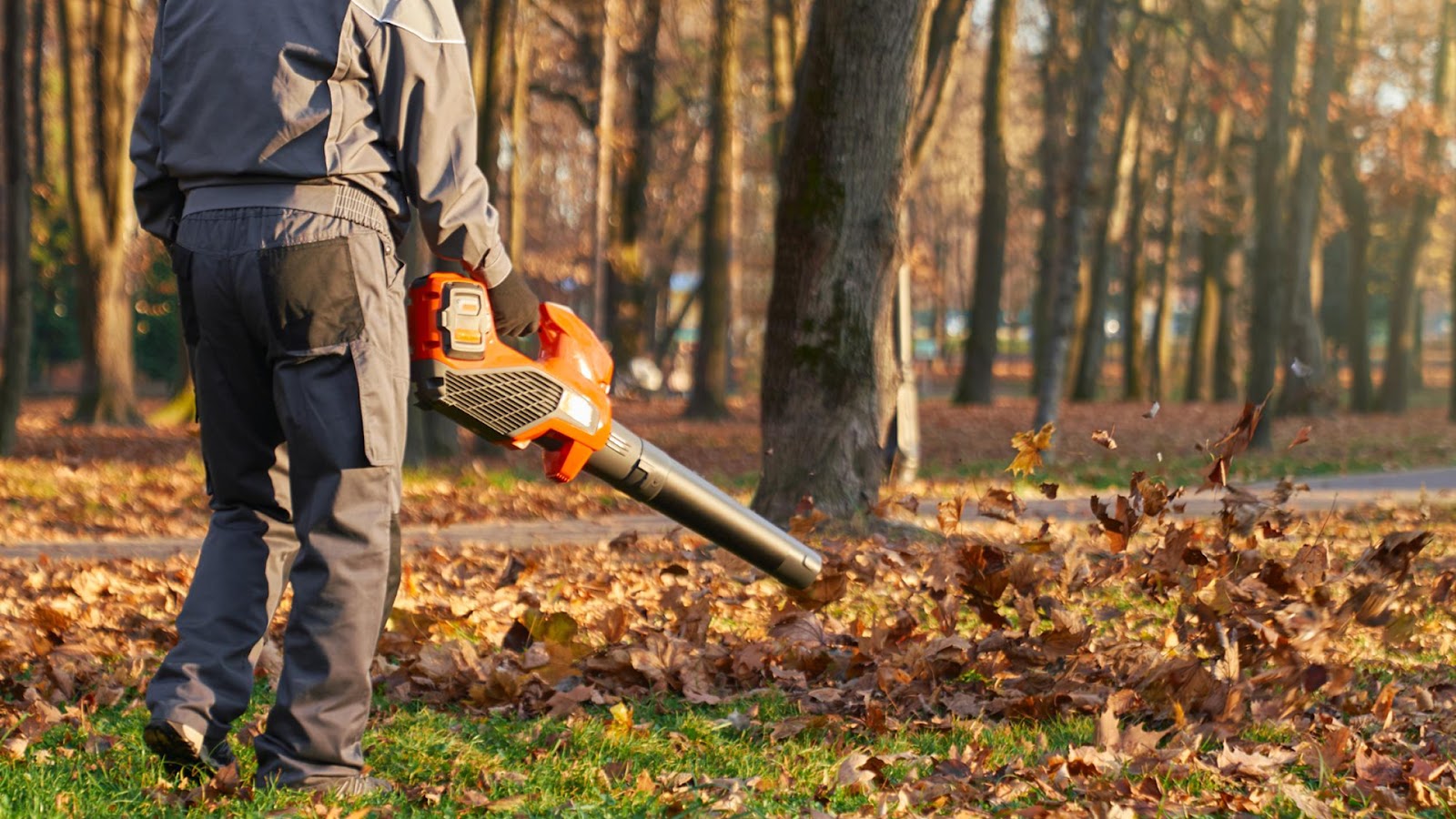 2. Leaf Blowers
