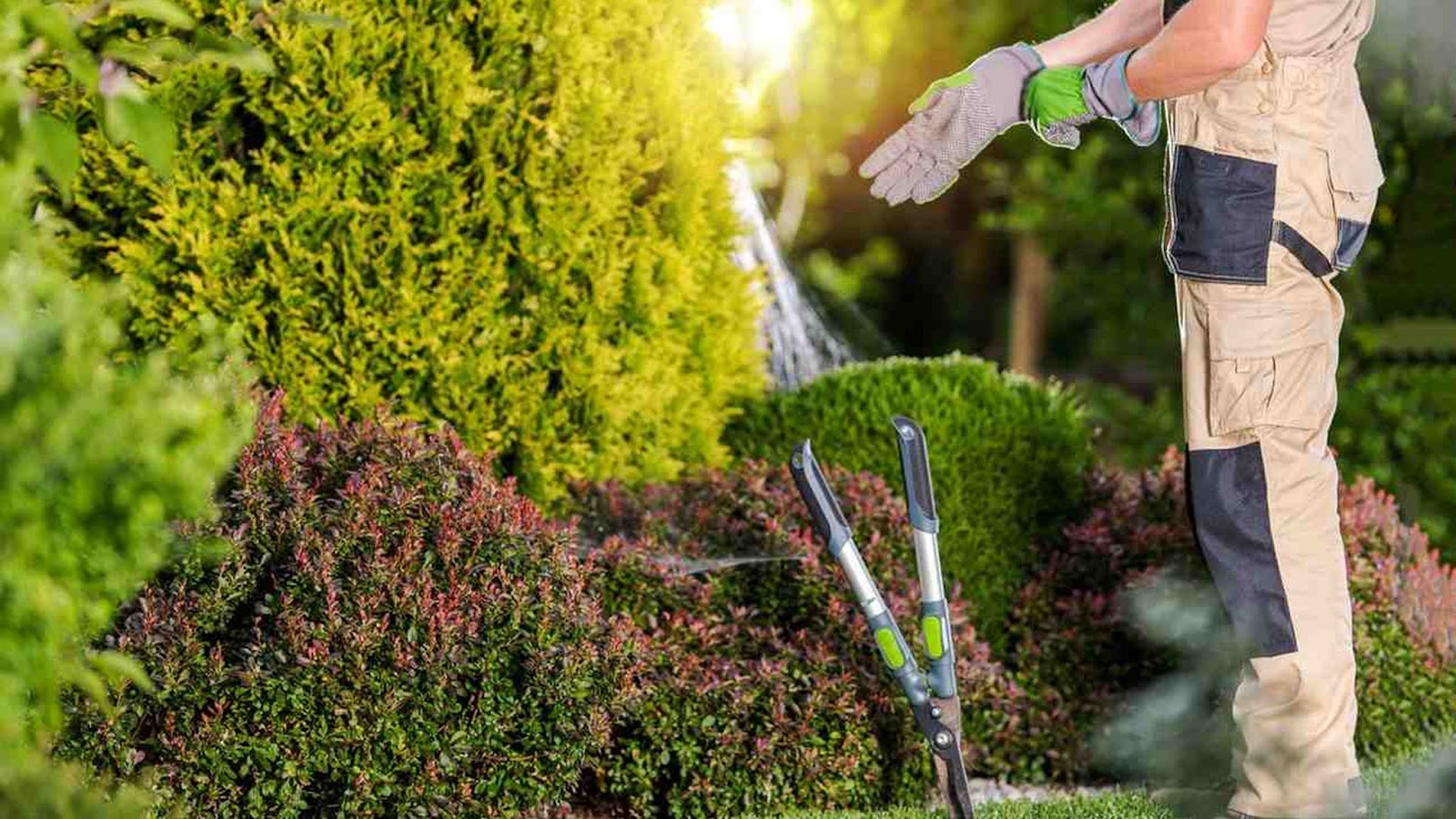 Landscape Design
