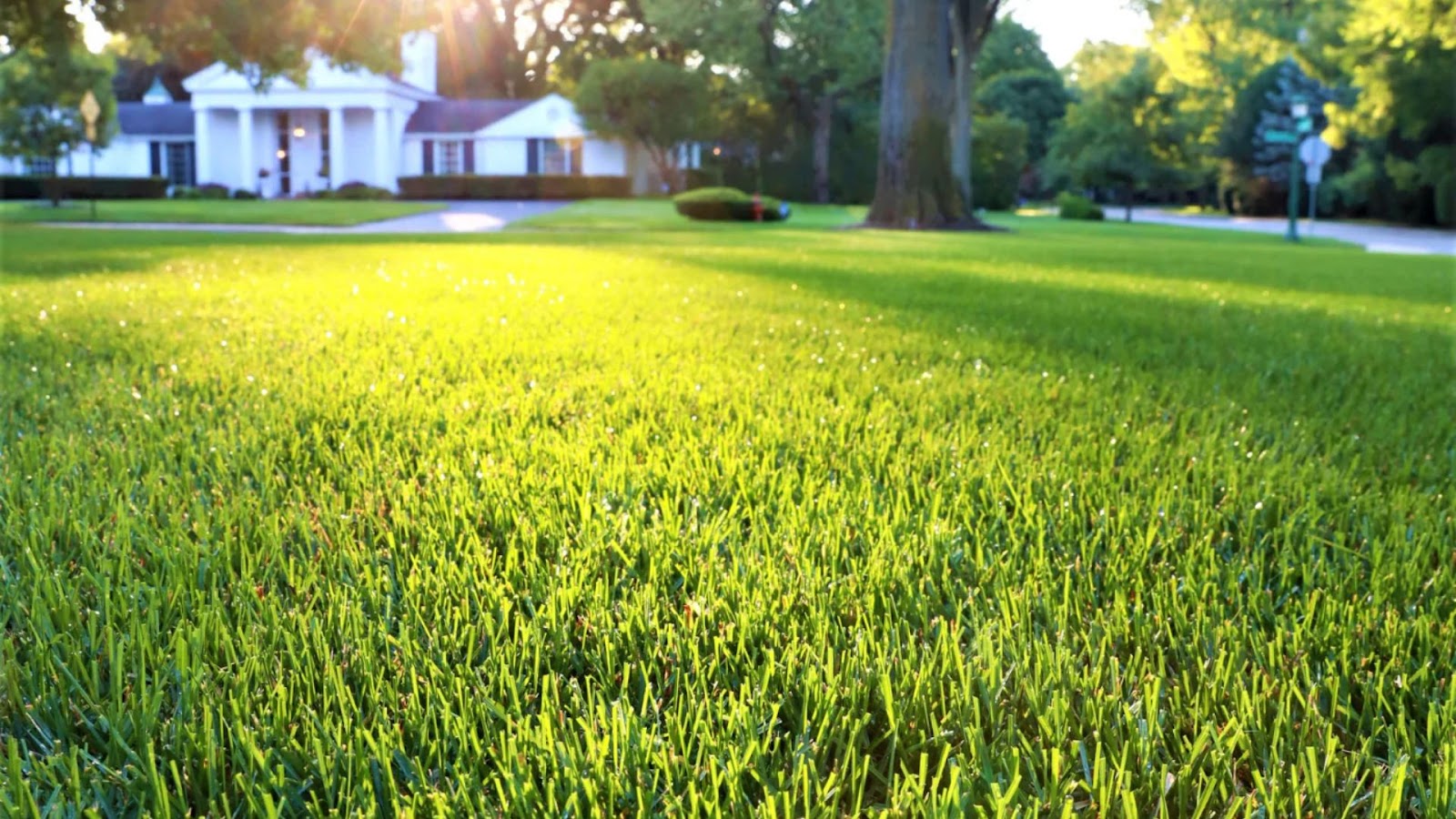 Landscape Design