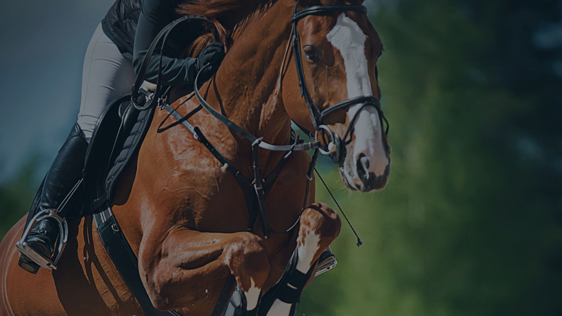 EAT YOUR BOURBON printed in the center over top an image of soy being mixed
