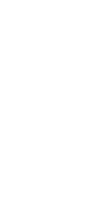 élément décoratif 3