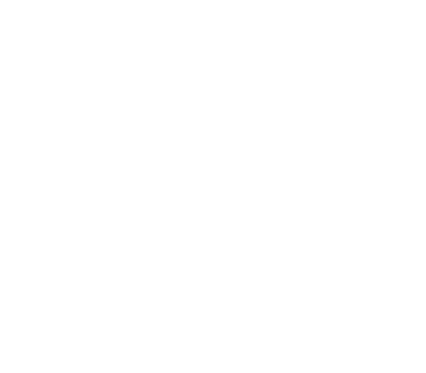 élément décoratif 4