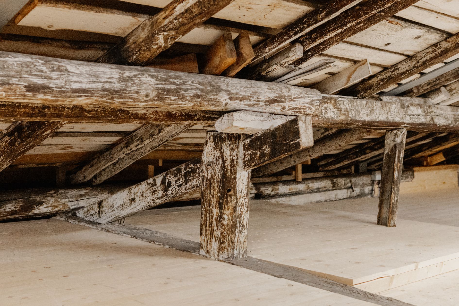 Detailaufnahme des historischen Dachtragwerks im Brendlhaus. Zu sehen sind die jahrhundertealten, verwitterten Holzbalken.