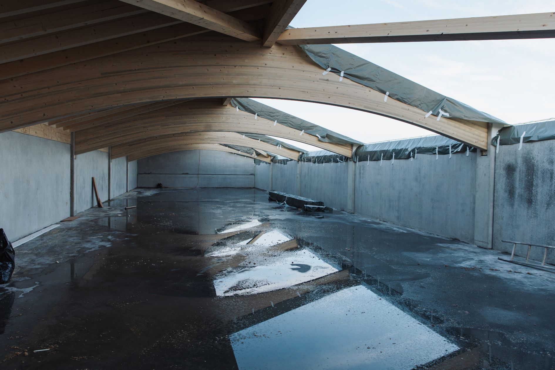 Innenansicht einer Halle mit gebogenen Holzbindern.