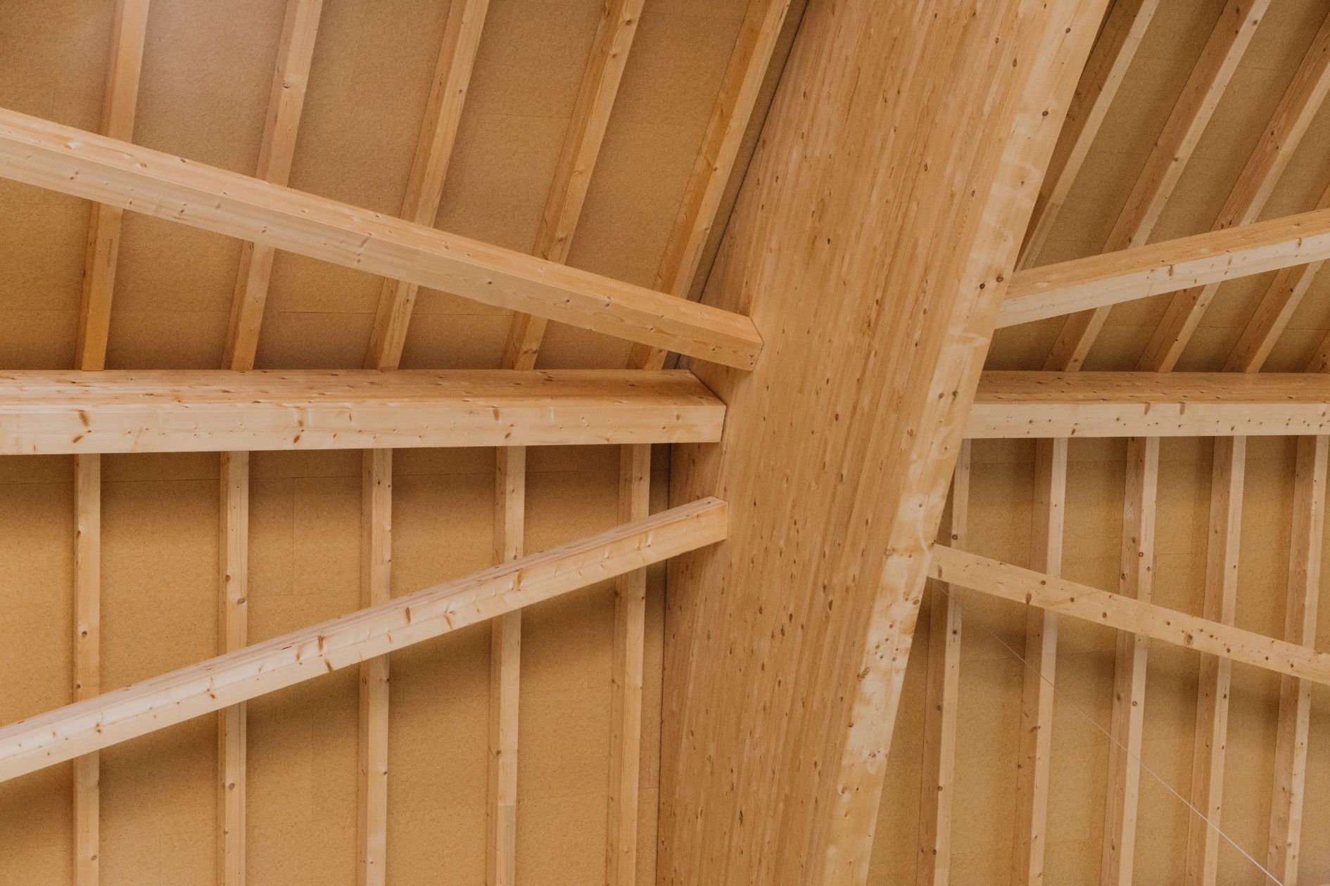 Holztragwerk mit gebogenen Leimbindern in einer Halle.