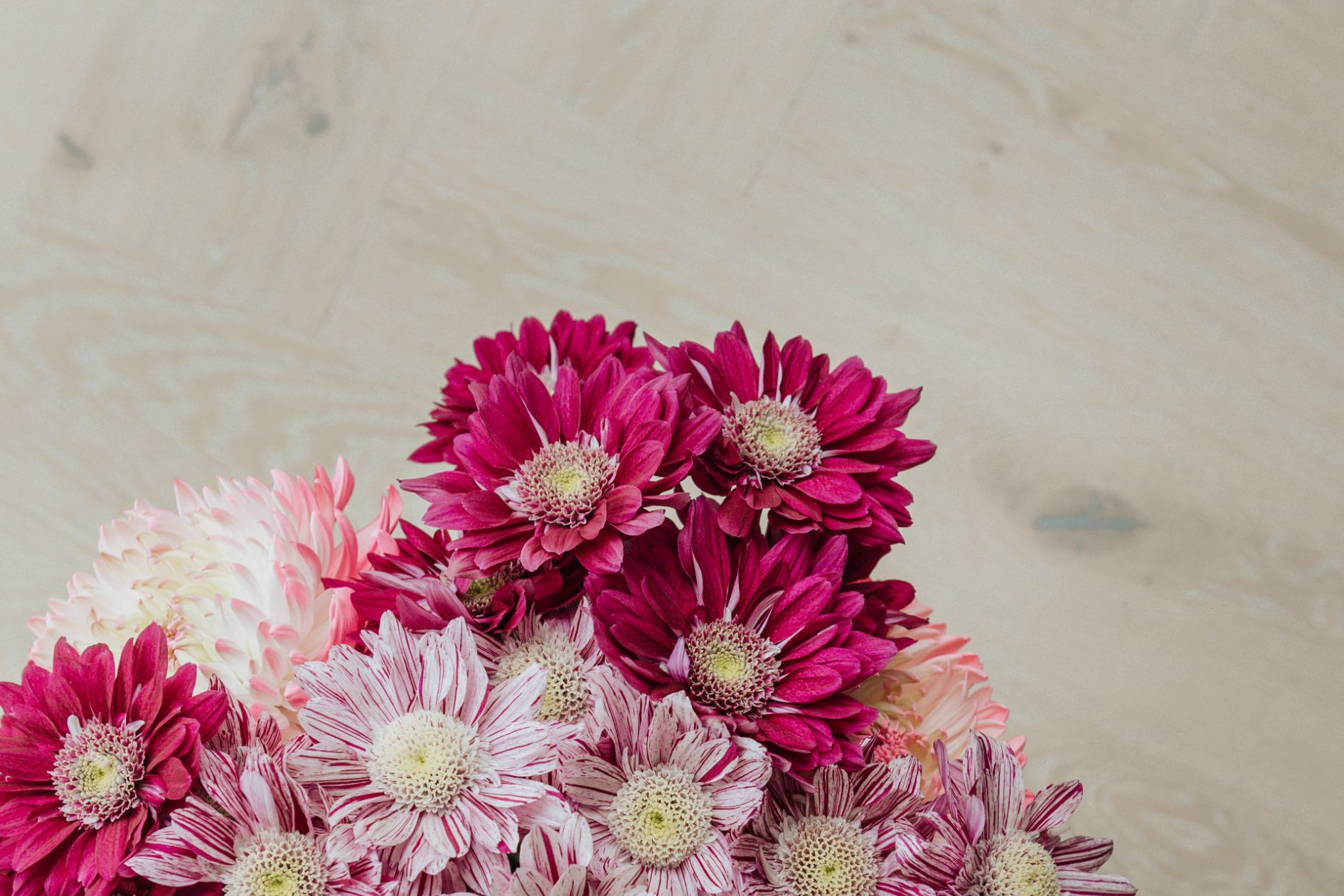 Pinkfarbene Blumen auf hellem Eichenboden im Fischgrät.