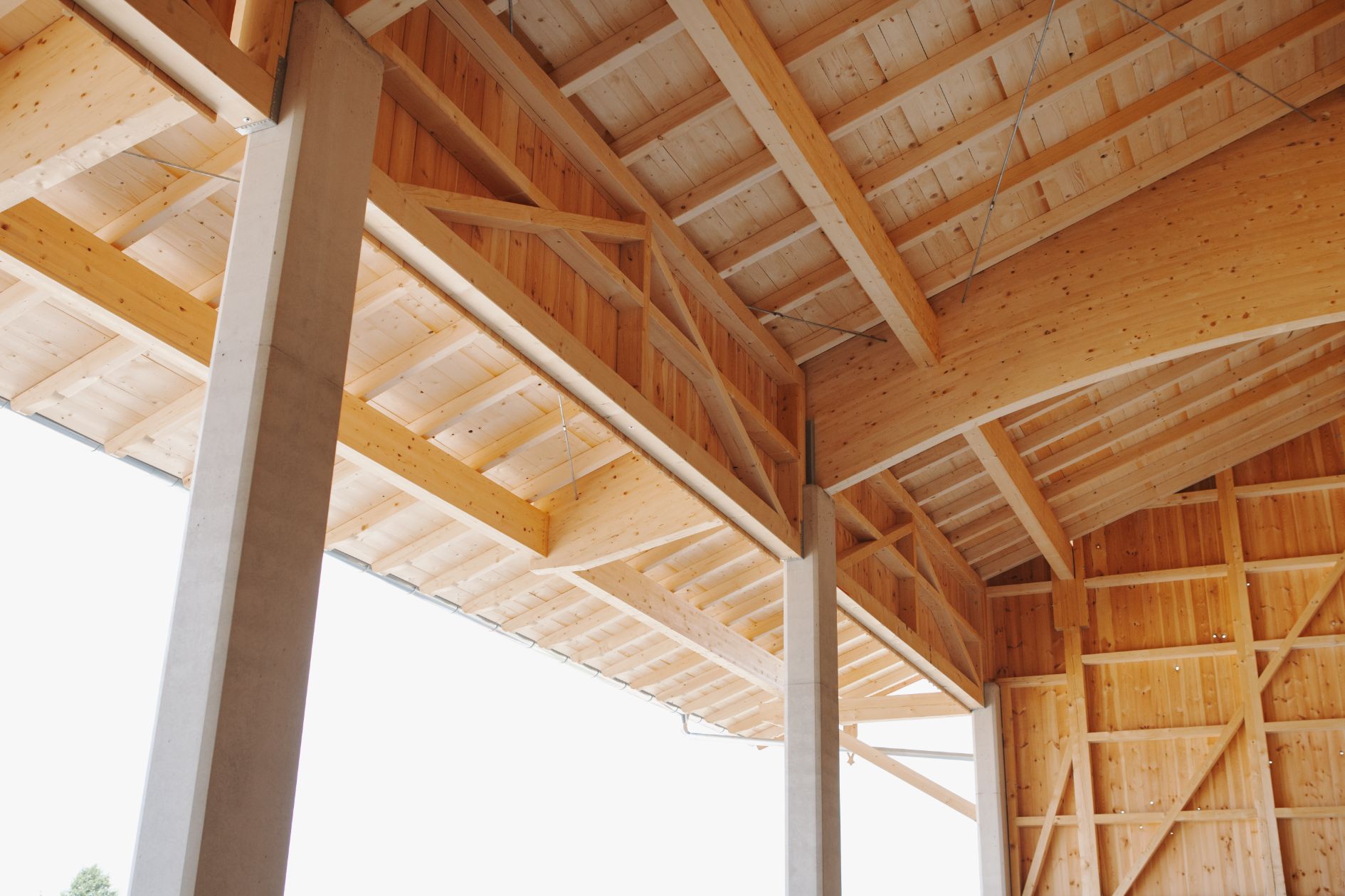 Holzbau mit Betonstützen und sichtbarer Dachkonstruktion.