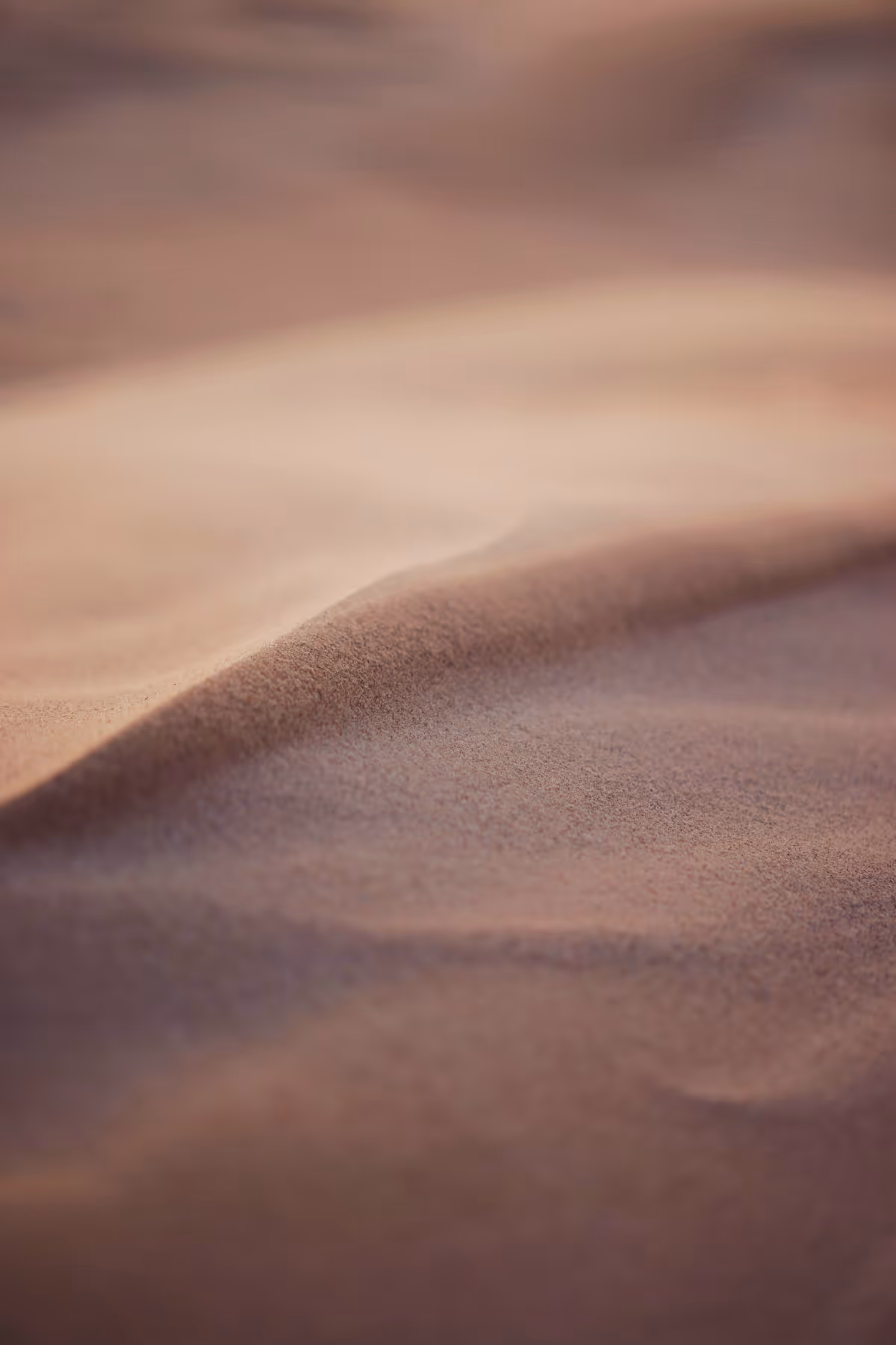 Zoom detailed view of desert dune sands shaped by wind.
