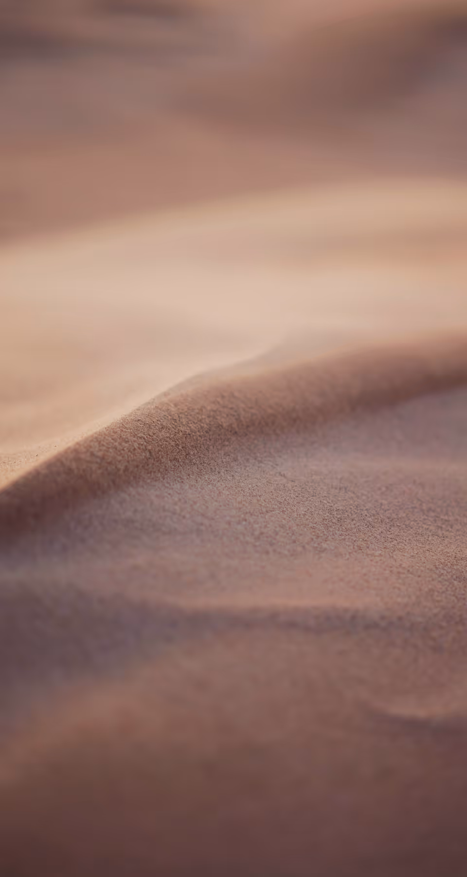 Zoom detailed view of desert dune sands shaped by wind.