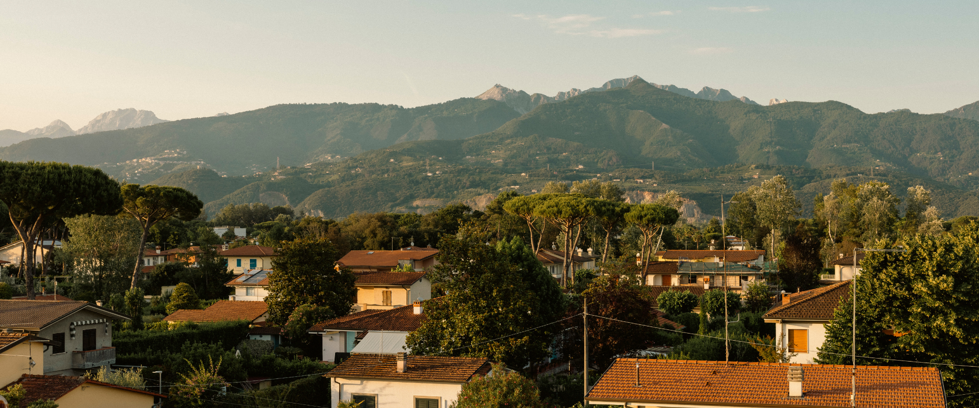View of Forte dei Marmi rooftops with pine trees