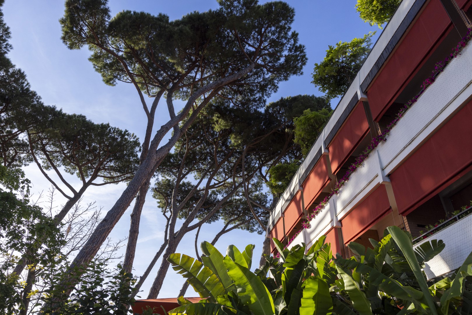 View of the hotel, showcasing its stunning architecture and natural surroundings.