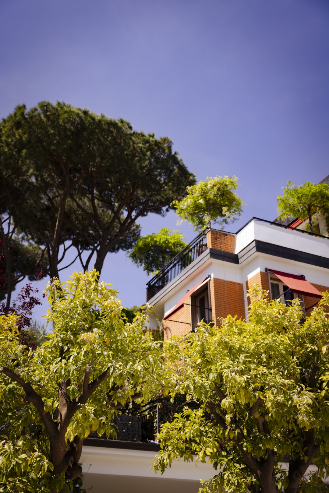 View of the hotel, showcasing its stunning architecture and natural surroundings.