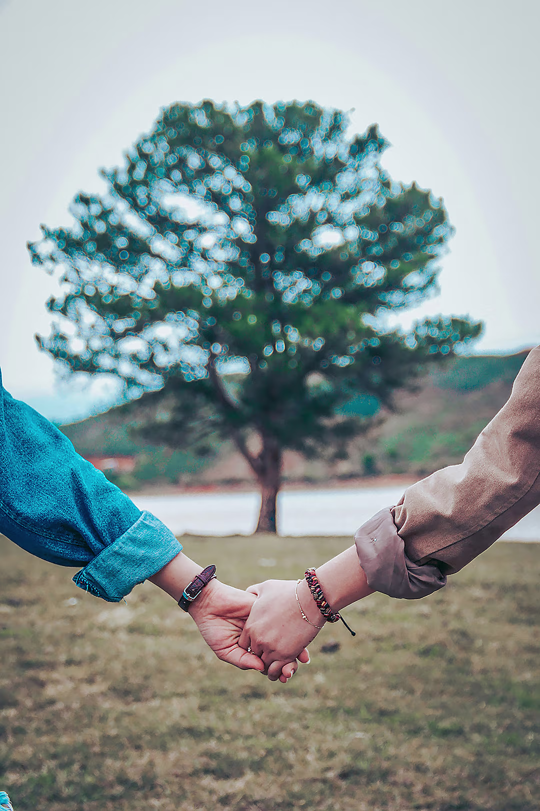 Scott Joffe Image Holding Hands Tree on the background