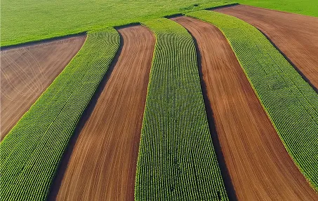 The Midwest Region is known for its abundant, lush green agricultural fields, farms and friendly folk.