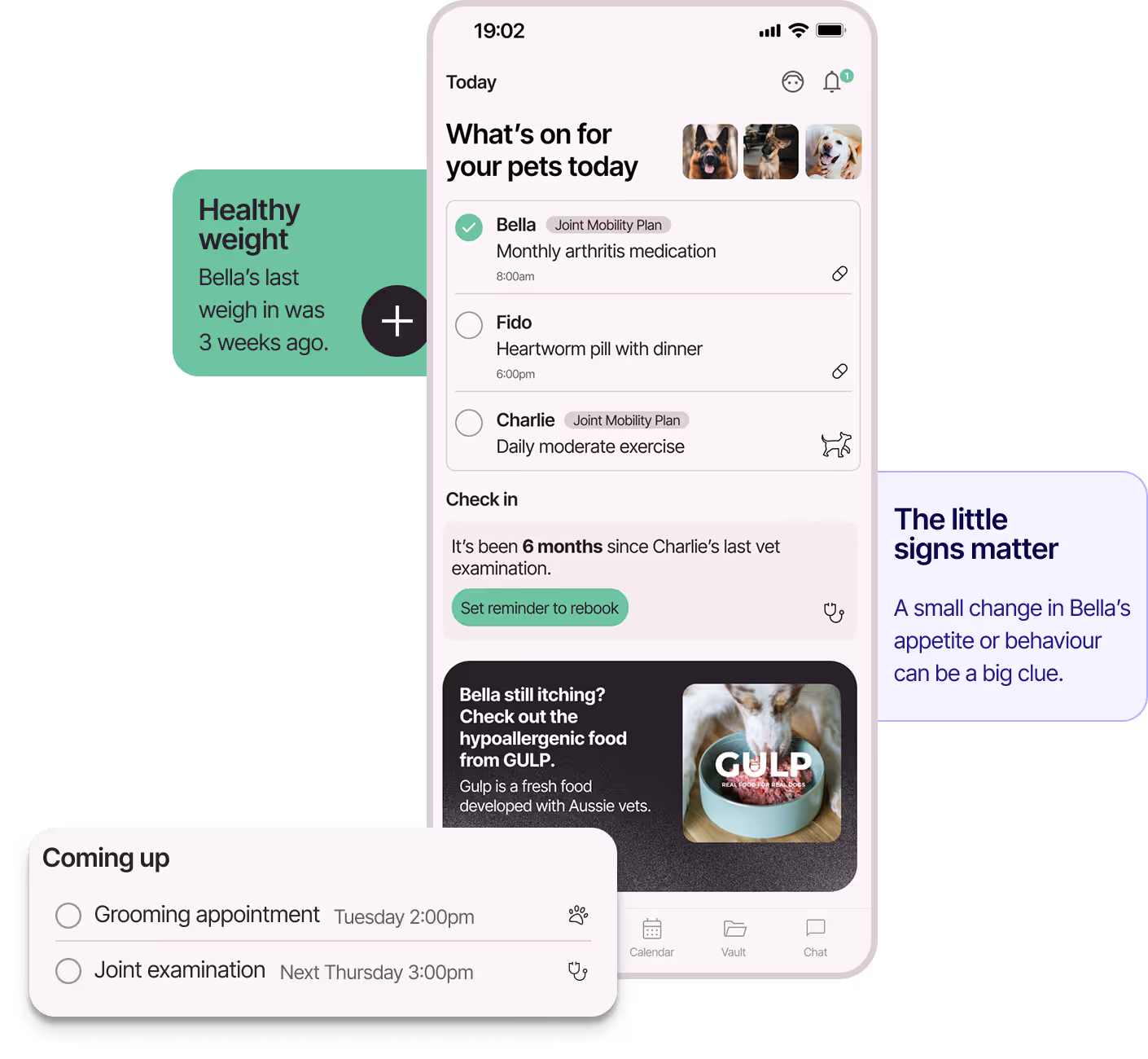App home page showing "What's on for your pets today" with daily reminders, a check in and insights.