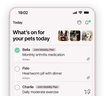 App home page showing "What's on for your pets today" with daily reminders, a check in and insights.