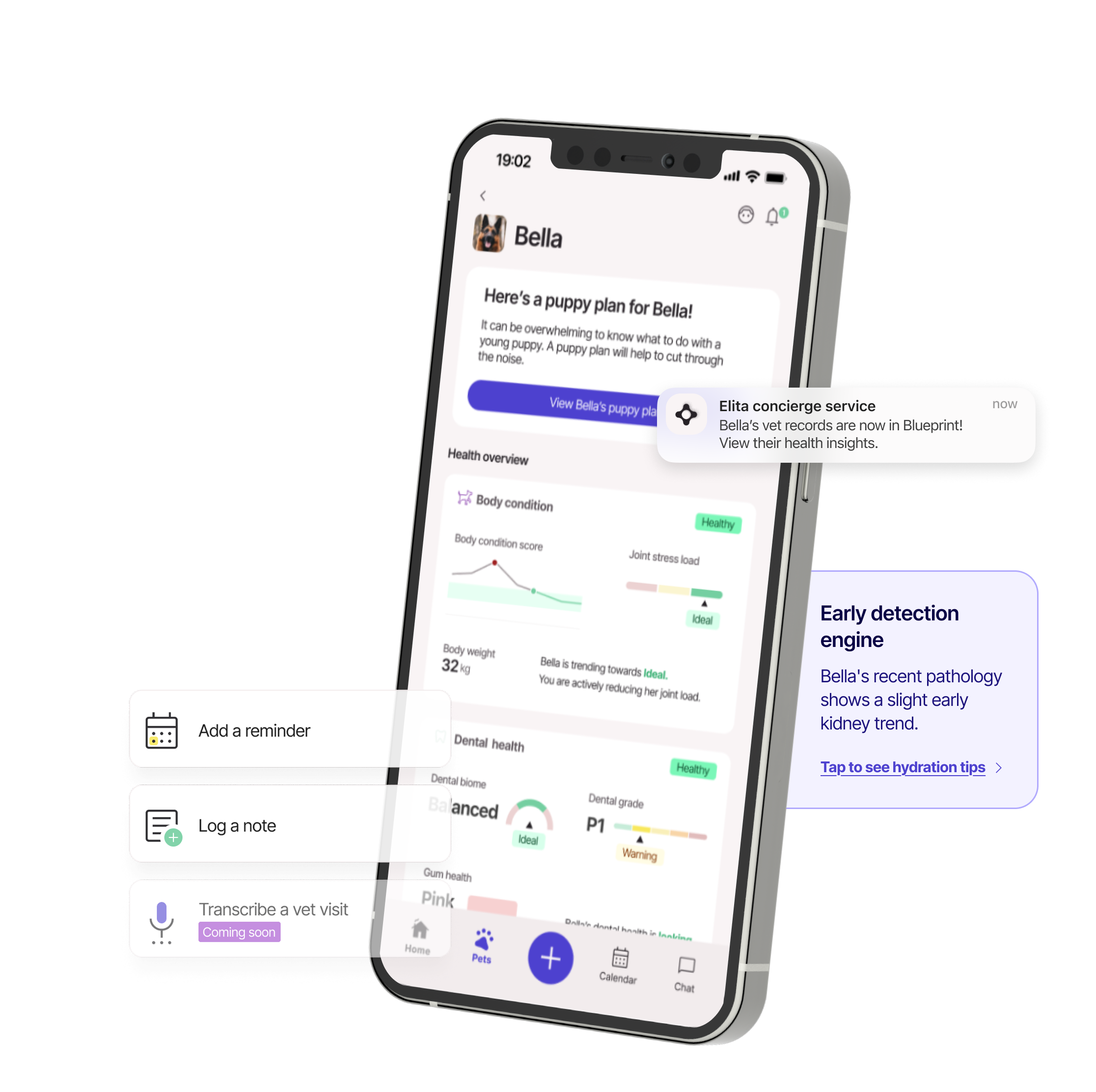 Mobile screen displaying a pet health app for dogs, showing body condition, dental health, a notification about vet records, and options to add a reminder, log a note, or transcribe a vet visit.