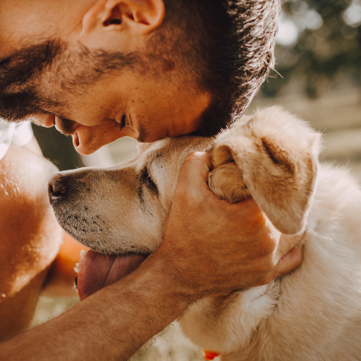 The Next Frontier: 5 Ways Stem Cells Could Change Pet Health Forever