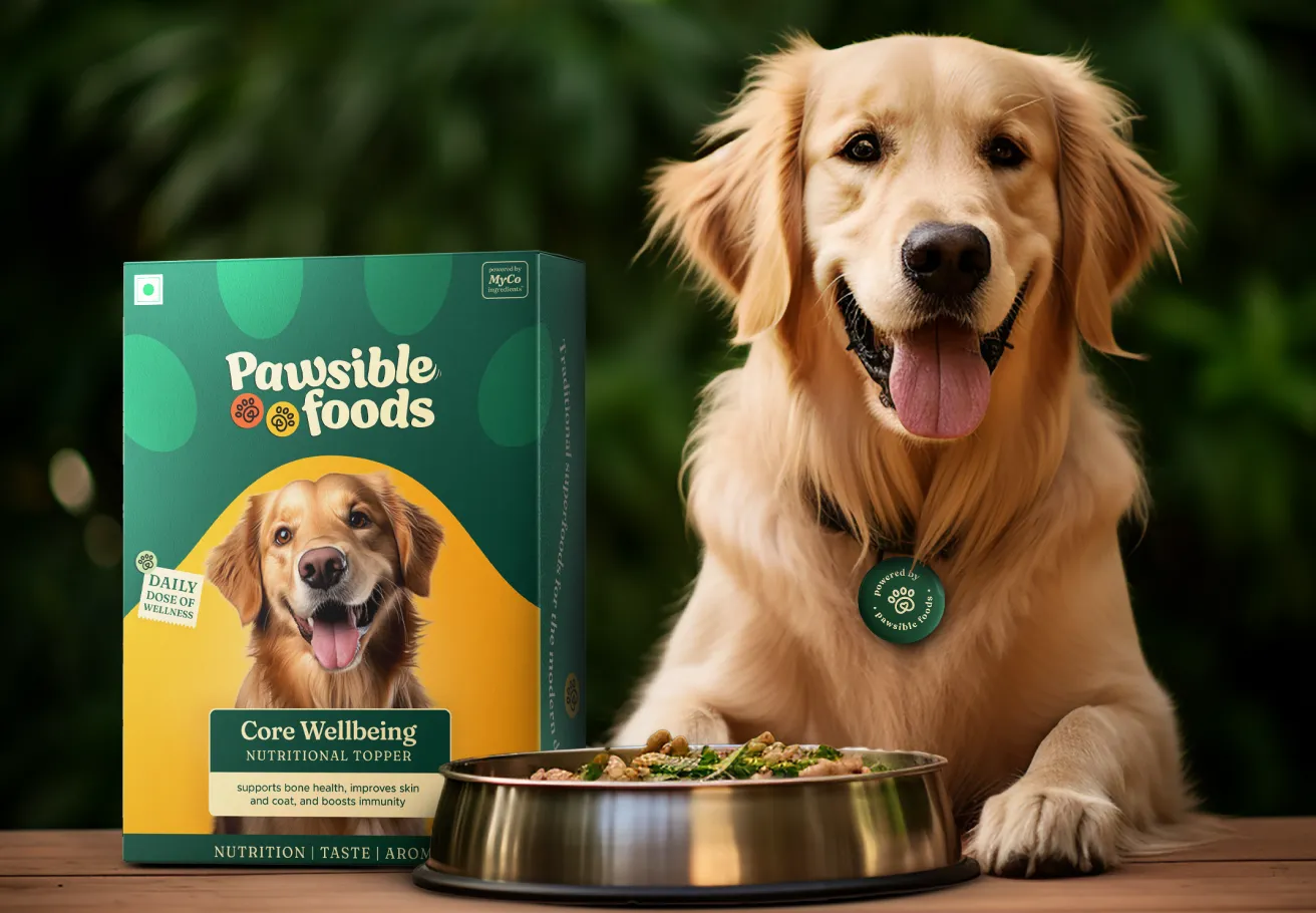 A smiling Golden Retriever dog wearing a green tag, leaning on a table next to a large green box of Pawsible Foods Core Wellbeing Nutritional Topper and a stainless steel bowl containing the food. The background is a blurred, lush green outdoor setting.