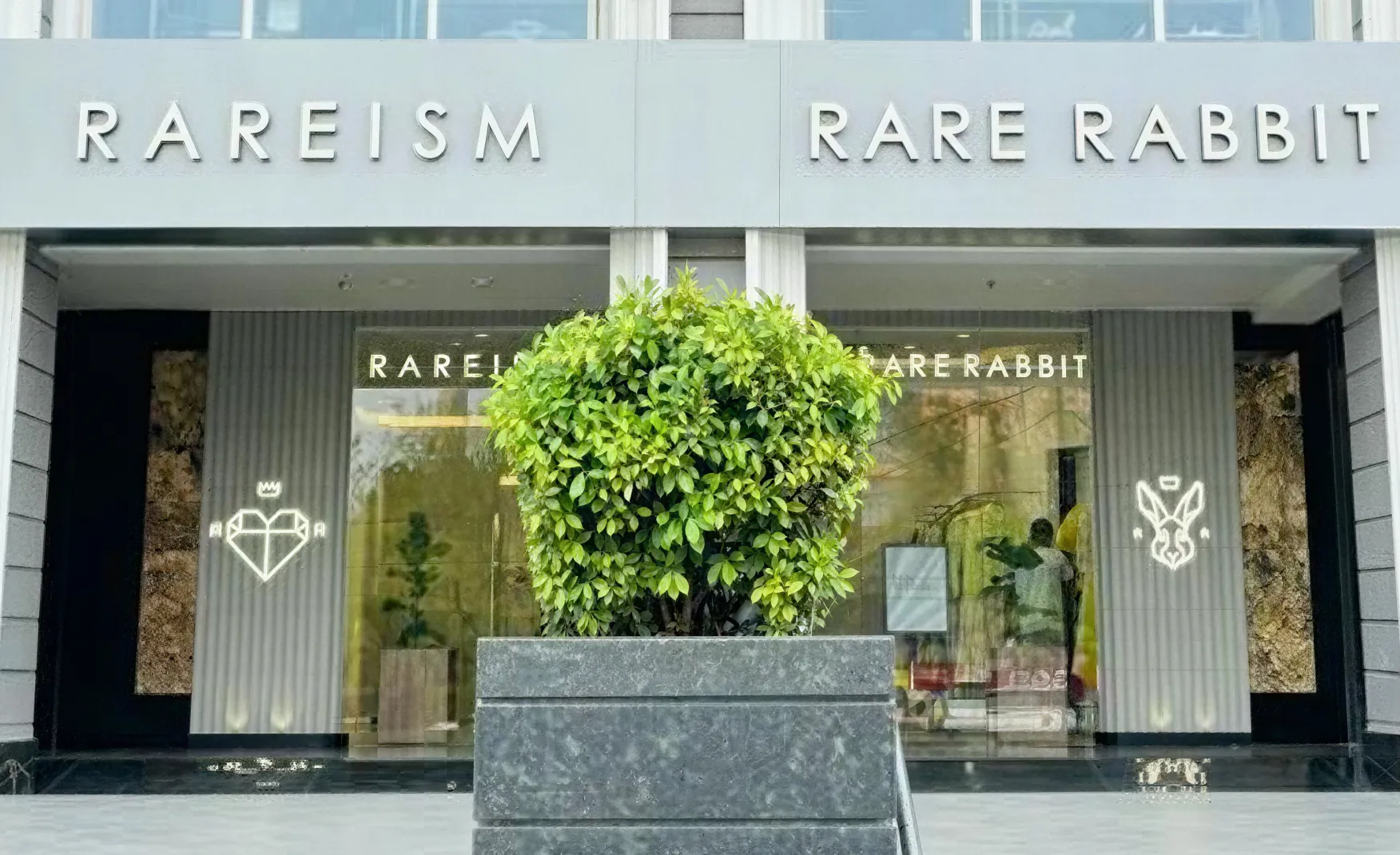 Rare Rabbit Brand Audit By Confetti Design Studio
