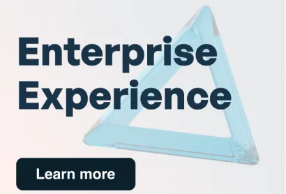 Blue transparent triangular shape with text 'Enterprise Experience' and a 'Learn more' button.