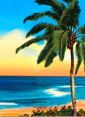 Image de l'atelier d'écriture L'ïle sur Pochade, représentant une plage de sable fin, de l'eau très bleue et un palmier, avec un ciel jaune et bleu.