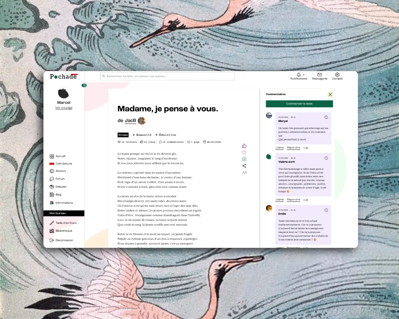 Ecran d'ordinateur sur une page texte de Pochade la plateforme d'écriture, sur un fond décoratif représentant deux hérons sur des vagues.
