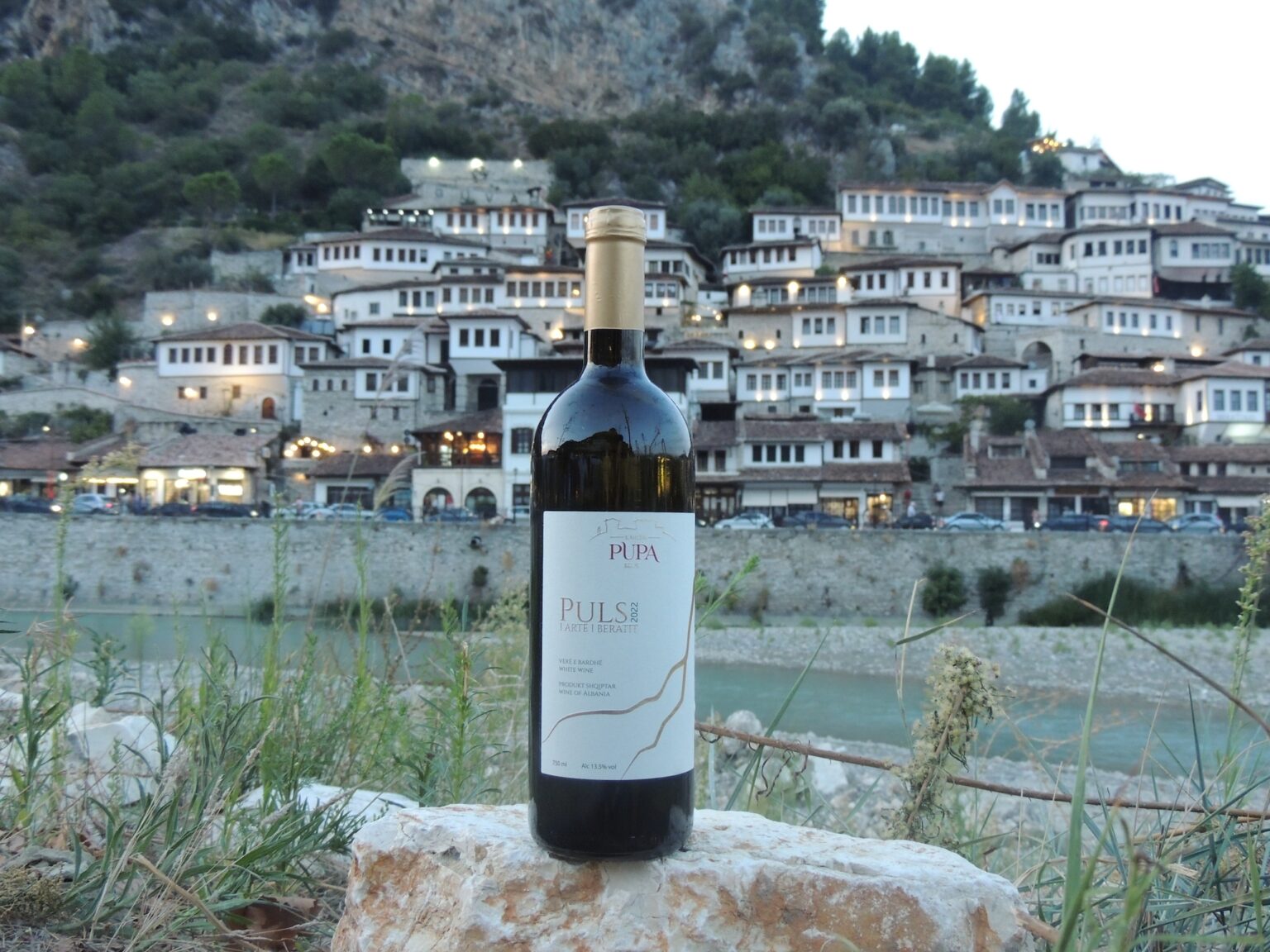 wine tsting in a family cellar