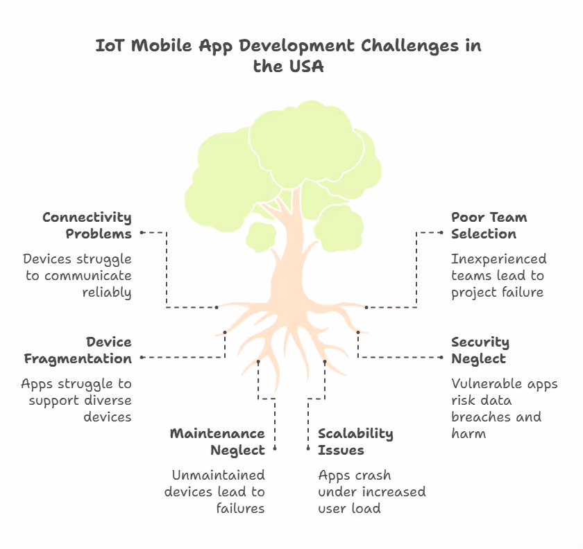 IoT Mobile App Development Challenges in the USA