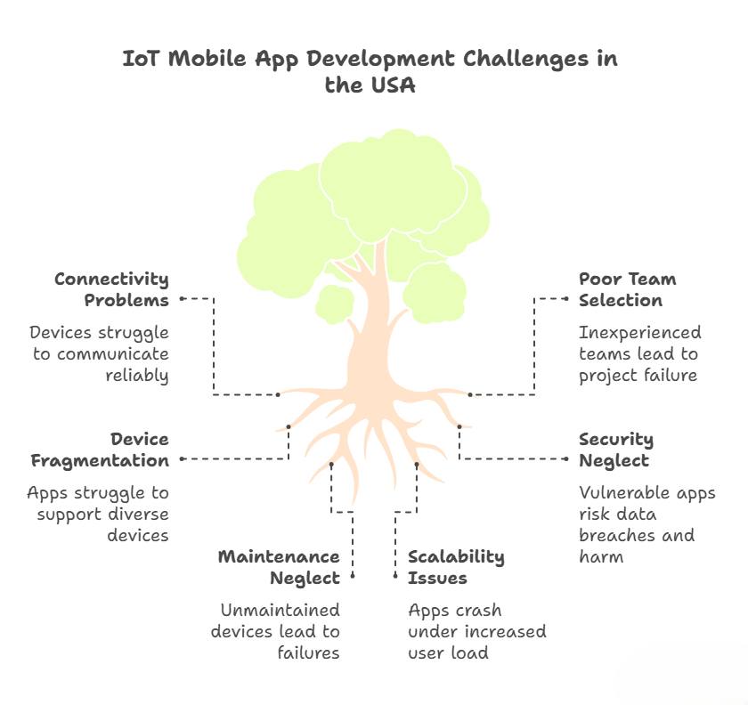IoT Mobile App Development Challenges in the USA