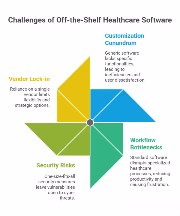 challenges of healthcare software development