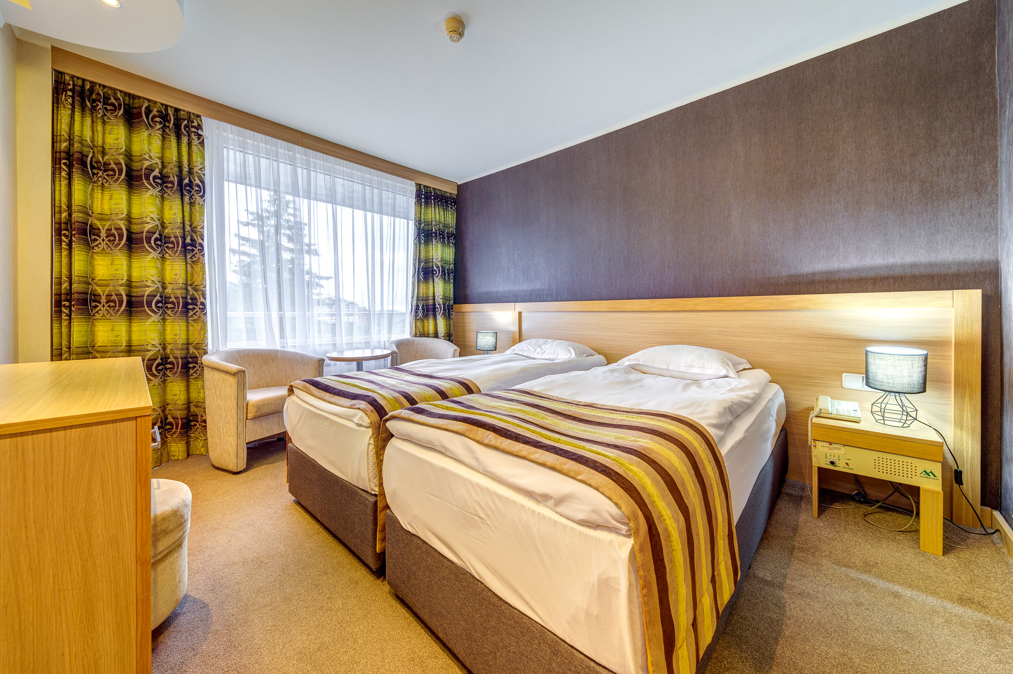 Двойна стая Стантадт в Гранд Хотел Мургавец с две отделни легла, самостоятелен балкон и спираща дъха гледка към Родопите.