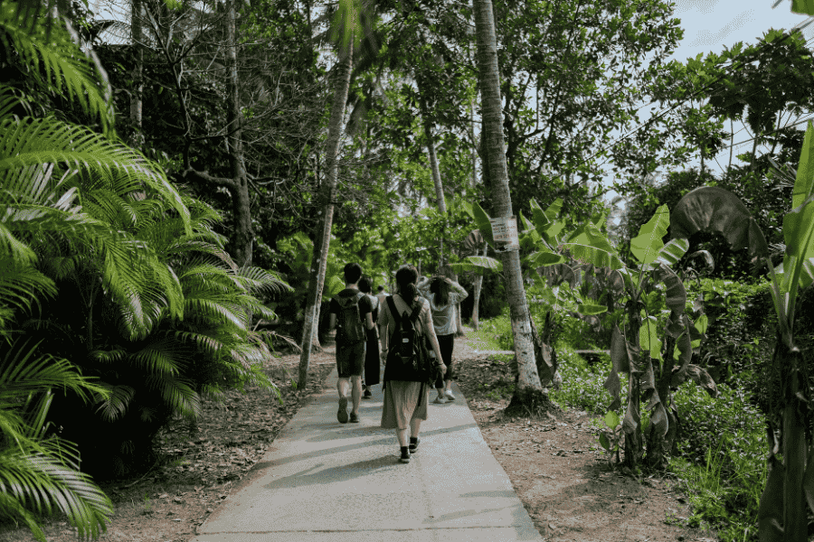 Tourism Sector