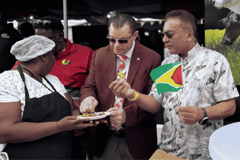 Promotional image or scene from AGRO FEST 2025.